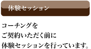 体験セッション